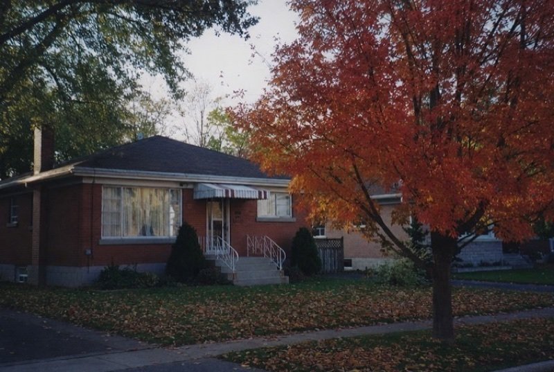 A modest post-war brick bungalow behind a red maple in full autumn colour, fallen leaves across the front lawn